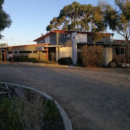Swansea Backpacker Lodge Ngoại thất bức ảnh