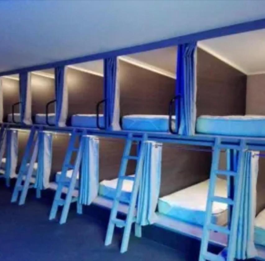 Swansea Backpacker Lodge Ngoại thất bức ảnh
